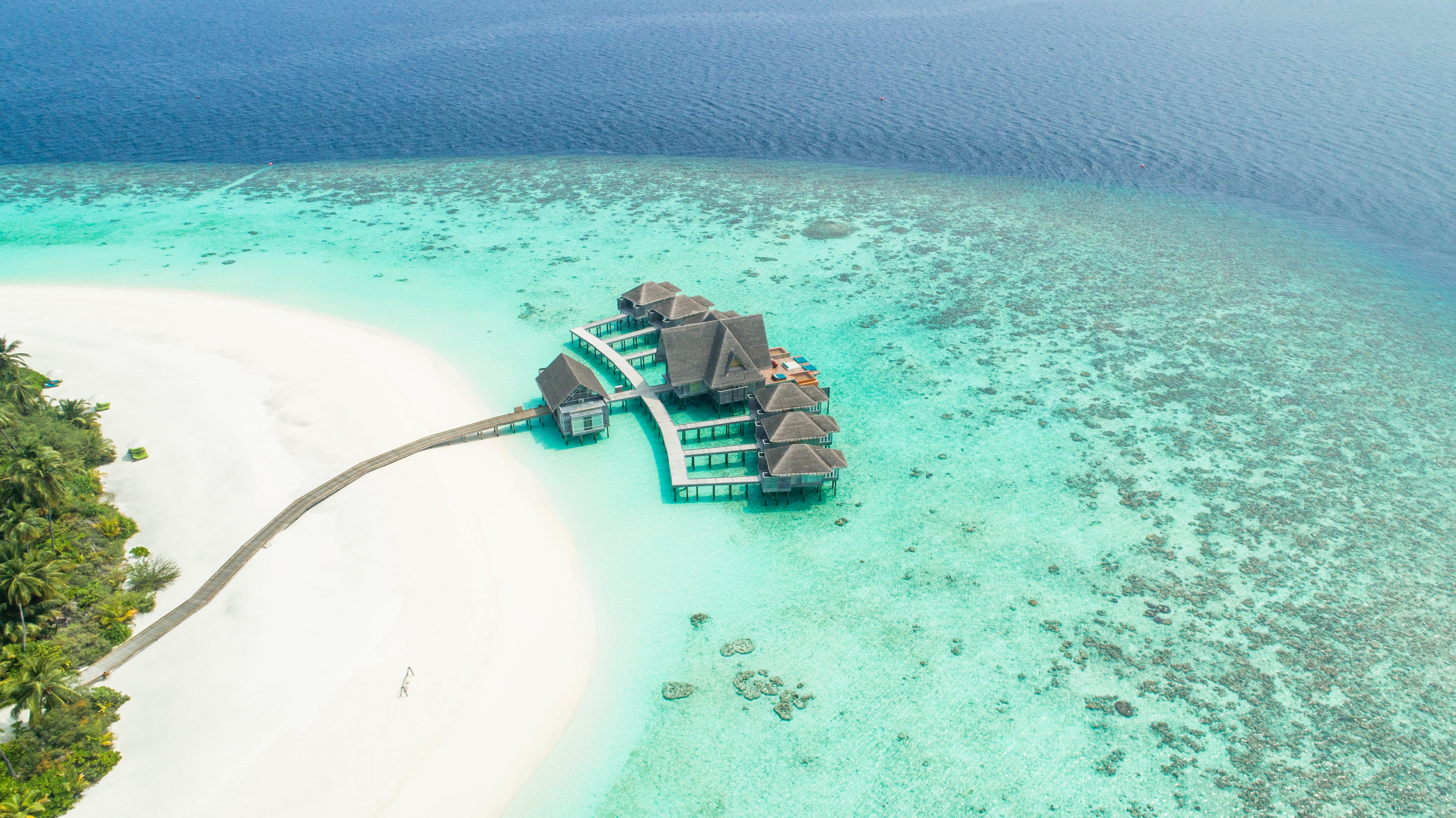 Tropical Maldives